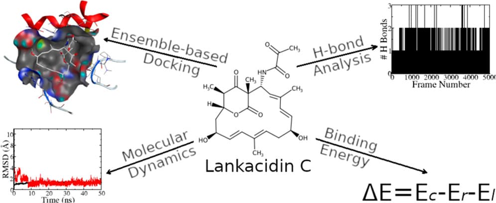 Molecular model of drug-target interaction